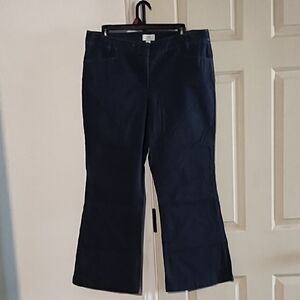 Loft Women's Navy Flared Pants